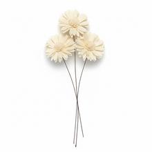 242Shola kvet 6cm sunflow 6ks - FLORASYSTEM