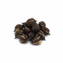 3824 Lily 3-6cm natur small 24ks - FLORASYSTEM