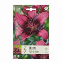 Sada cibuliek ĽALIA PURPLE DREAM 3ks