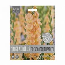 Balenie cibúľ gladiol Great Queen Elizabeth, 10 kusov.