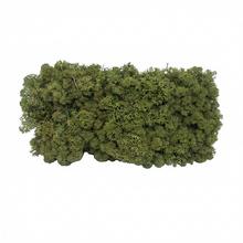 Preparovaný mach v boxe 500g so SOBOM