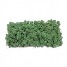 Preparovaný mach v boxe 500g so SOBOM