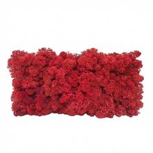 Preparovaný mach v boxe 500g so SOBOM