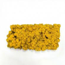 Preparovaný mach v boxe 500g so SOBOM