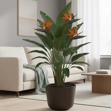 Okrúhly obal na kvetiny Gracia v hnedej farbe.