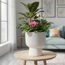 Biely okrúhly kvetináč s vkladom