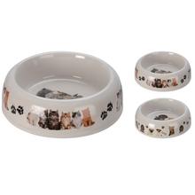 Miska pre psa melamínová s obrázkami šteniat