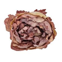 Hlava pivonky staroružová 10cm, balenie 12ks.