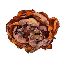 Umelá kvetina pivónia v oranžovo-červenej farbe, priemer 10 cm, balenie po 12 kusoch.