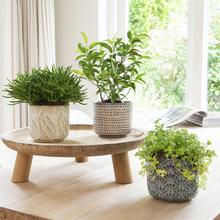 Sada keramických obalov na kvety v troch rôznych farbách.