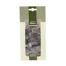 Mushroom sponge nature 10x5x22cm 50gr - FLORASYSTEM