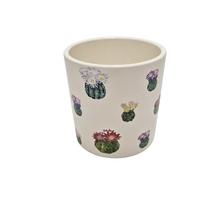 SUPER CENA OBAL KAKTUS MINI FAREBNÝ 11,3XV11,6CM - FLORASYSTEM