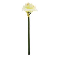 AMARYLIS 83CM BIELY - FLORASYSTEM