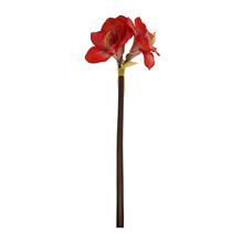 AMARYLIS 83CM ČERVENÝ - FLORASYSTEM