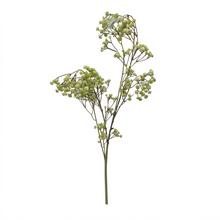 KS GYPSA ZELENÁ 115CM - FLORASYSTEM