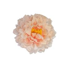 KS HLAVA PIVONKA BIELA 12CM - FLORASYSTEM