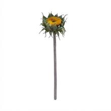 KS SLNEČNICA ODKVITNUTÁ 59CM - FLORASYSTEM