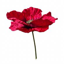 PAPAVER ČERVENÝ XXL 55/100CM - FLORASYSTEM