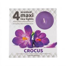 ČAJOVÉ VOŇAVÉ MAXI/4 KROKUS 6x6x2,2cm - FLORASYSTEM