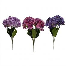KYTICA HYDRANGEA MIX/3F - FLORASYSTEM