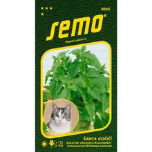 KOCÚRNIK OBYČAJNÝ CAT GRASS 0,2g  - FLORASYSTEM