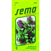 Semená bazalky Siam Queen v balení 0,3g.