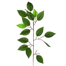 AKCIA! FIKUSOVÝ LIST 1VETV/ZELENÁ 60CM/kartón 2400 - FLORASYSTEM