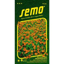 AKSAMIETNICA DROB.ORANž. 0,2g - FLORASYSTEM