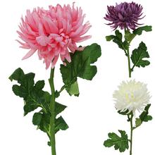 KS CHRYSANTEMA 3F MIX A 65CM - FLORASYSTEM