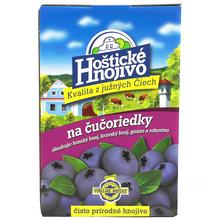 Hoštické hnojivo čučoriedky 1kg 12/k. - FLORASYSTEM