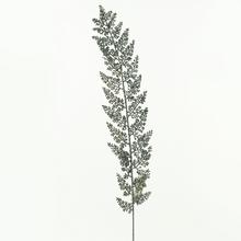 LIST GLITTER ŠEDÁ 65CM - FLORASYSTEM