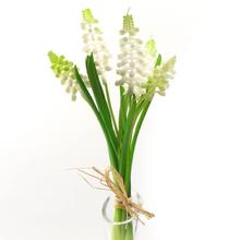 12-7177 KYTICA MUSCARI WH-01 - FLORASYSTEM