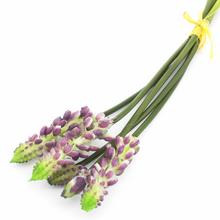 24FLK01-0167 KYTICA MUSCARI VIAZ.5KS/24CM GUm - FLORASYSTEM