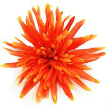 AKCIA!!24FLK02-0228 HLAVA CHRYZ. STRAPATÁ ORANŽ. PRIEM:13CM BAL:12KS - FLORASYSTEM
