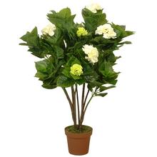 25FLK0818 STROM HYDRANGEA 110CM - FLORASYSTEM