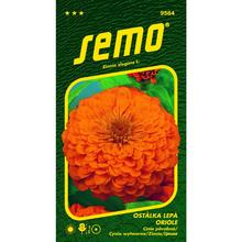Semená cínie oranžovej Oriole 0,7g