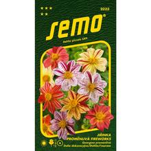 Semená georgíny Premenlivá Fireworks 0,3g