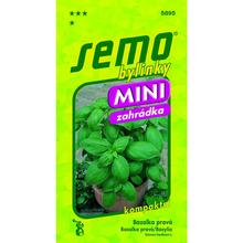 Semená bazalky MammoLo Genovese 0,8g od SEMO.