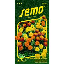 Semená akasamitníka rozkladitého v balení 1g.