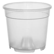 Priehľadný kontajner na orchideu s objemom 0,8 l.