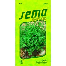 Semená bylinky Trebuľka Commun 2g od SEMO.