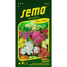 Semená rebríčka obyčajného Summer Pastels 0,1g od SEMO.