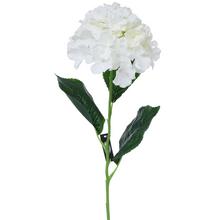KS HYDRANGEA BIELA 75CM - FLORASYSTEM