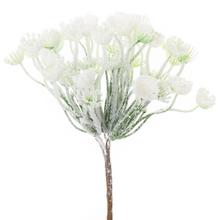 ZáPICH VIAN.AMMI ZASNEŽENÉ 19CM - FLORASYSTEM
