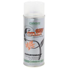 5230 LESK NA SUCHÉ KVETY 400ml OASIS Elefantenhaut - FLORASYSTEM