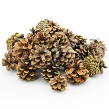 Sušené šišky PINUS NIGER EXTRA 500g 5-8cm