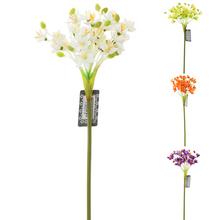 12068-0,1,5,6 KS  ORNYTHOGALOUM 63CM - FLORASYSTEM