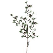 VIAN. VETVIČKA ČEČINA 56CM - FLORASYSTEM