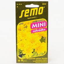 Semená akasamiatnice Safari Yellow v balení 30 kusov.