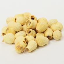 R092WPACZ BELLGUM WYB. 250G - FLORASYSTEM